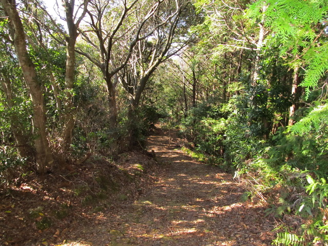 t23_182.jpg