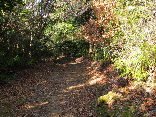 t23_189.jpg