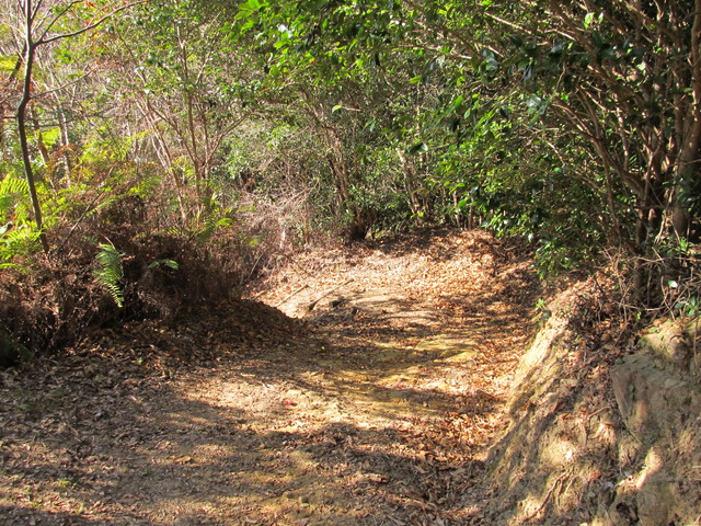 t23_191.jpg