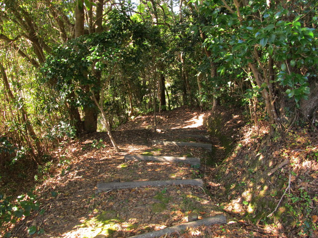 t23_194.jpg