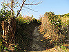 t23_199_thumb.jpg