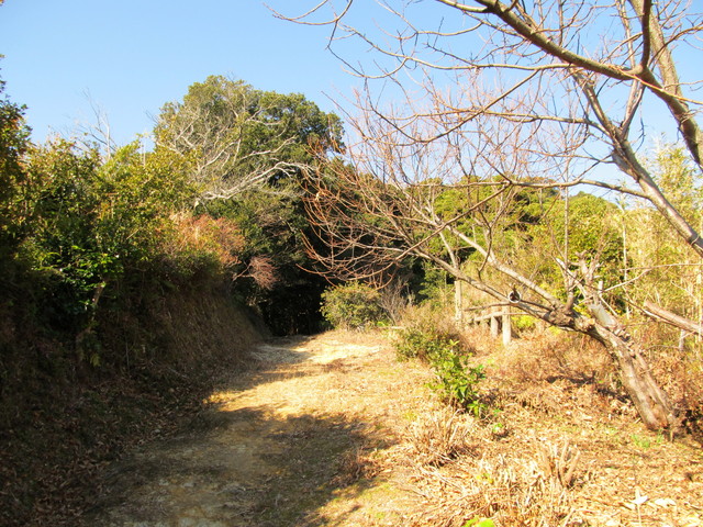 t23_200.jpg
