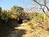 t23_200_thumb.jpg