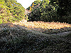 t23_204_thumb.jpg
