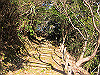 t23_207_thumb.jpg
