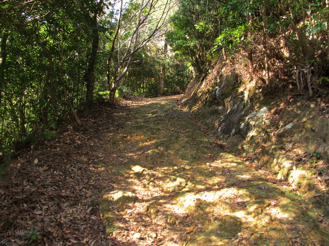 t23_209.jpg