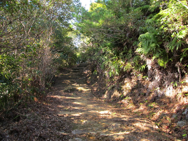 t23_212.jpg