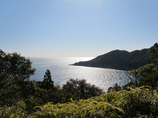 t23_216.jpg