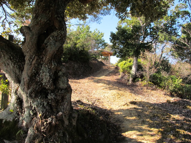 t23_221.jpg