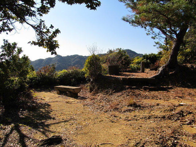 t23_222.jpg