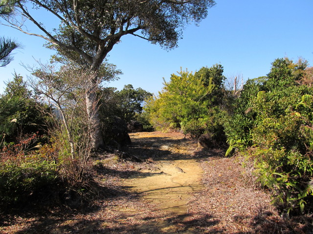 t23_224.jpg
