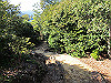 t23_226_thumb.jpg