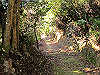 t23_232_thumb.jpg