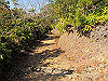 t23_235_thumb.jpg