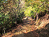 t23_236_thumb.jpg