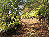 t23_237_thumb.jpg