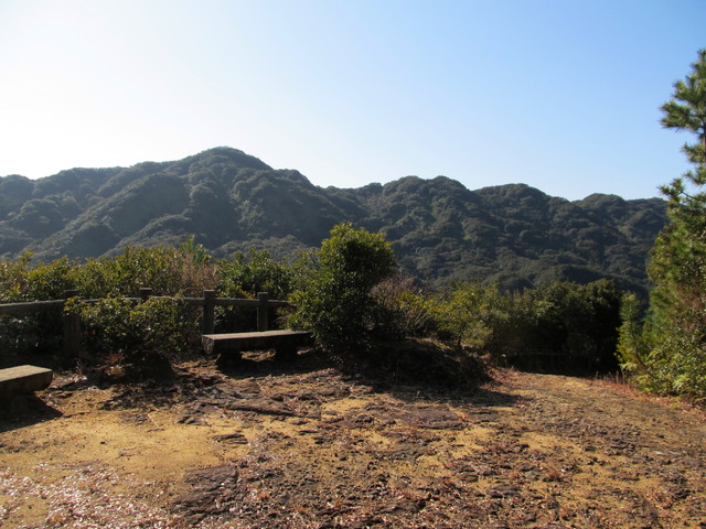 t23_245.jpg