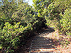 t23_253_thumb.jpg