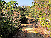t23_254_thumb.jpg