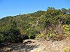 t23_257_thumb.jpg