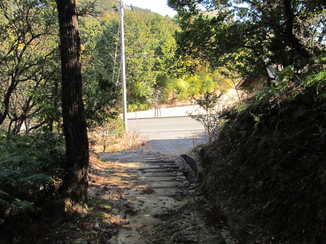 t23_261.jpg