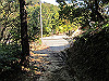 t23_261_thumb.jpg