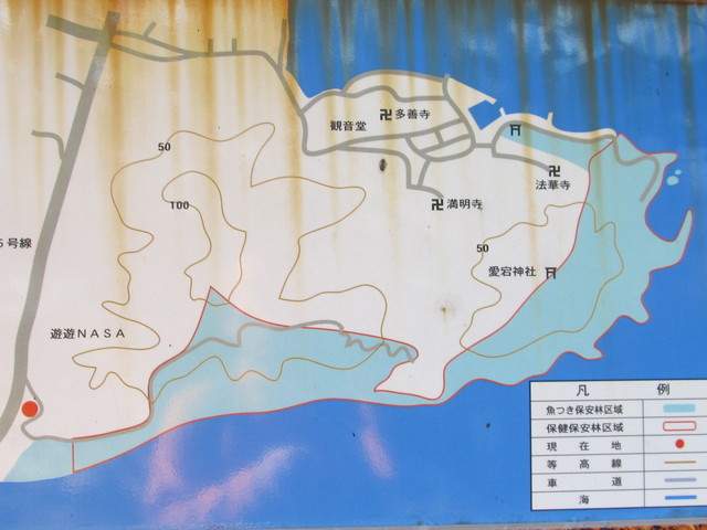 t23_263.jpg