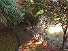 t23_264_thumb.jpg