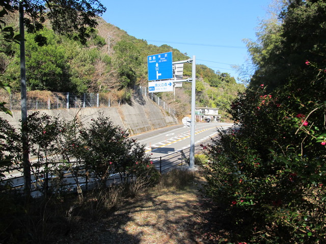 t23_265.jpg