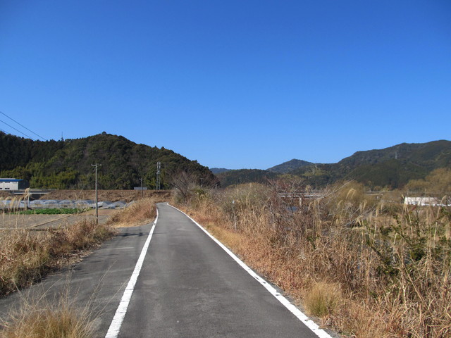 t24_074.jpg