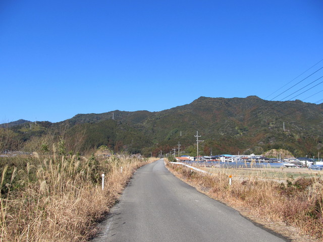 t24_079.jpg