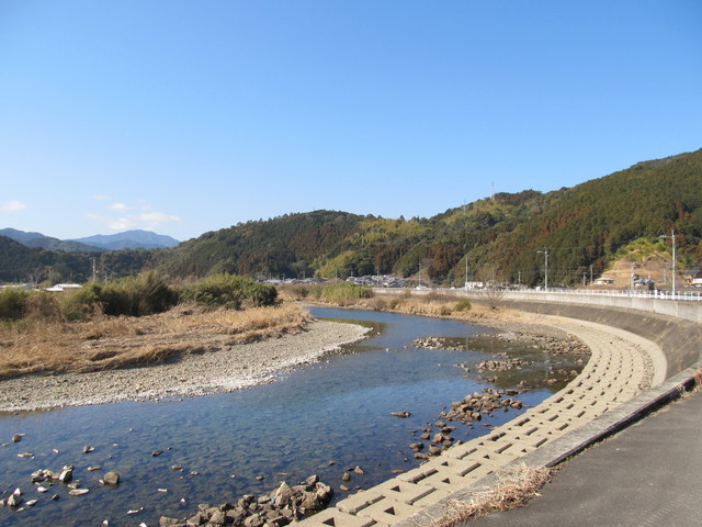 t24_081.jpg