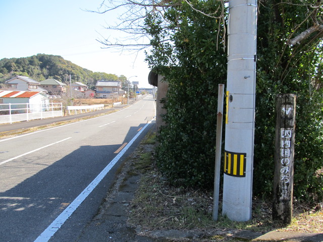t24_083.jpg