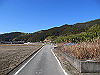 t24_087_thumb.jpg