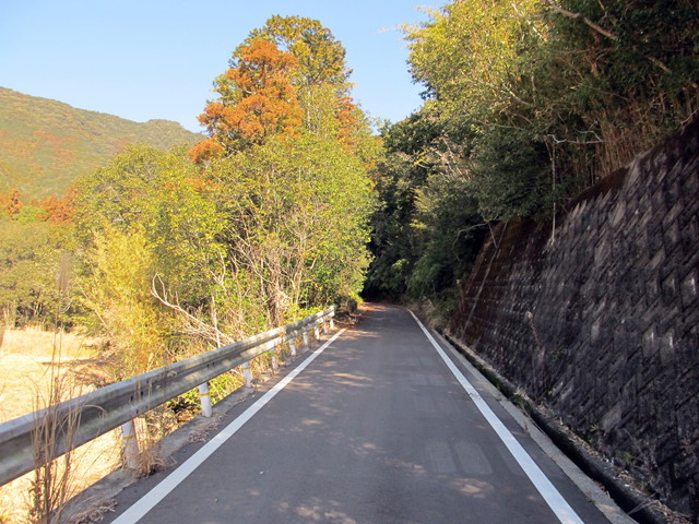 t24_091.jpg