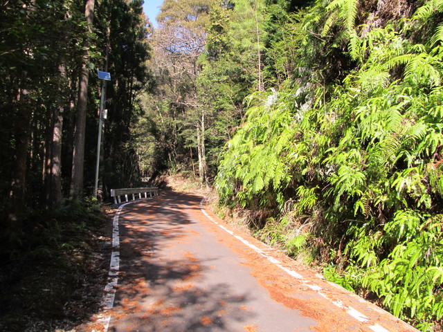 t24_092.jpg
