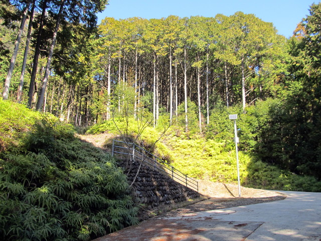 t24_096.jpg