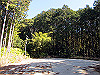 t24_098_thumb.jpg