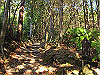 t24_102_thumb.jpg