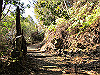 t24_105_thumb.jpg