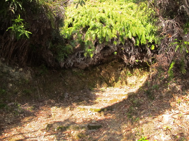 t24_106.jpg