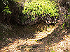 t24_106_thumb.jpg