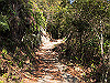 t24_107_thumb.jpg