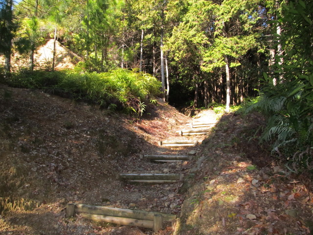 t24_111.jpg