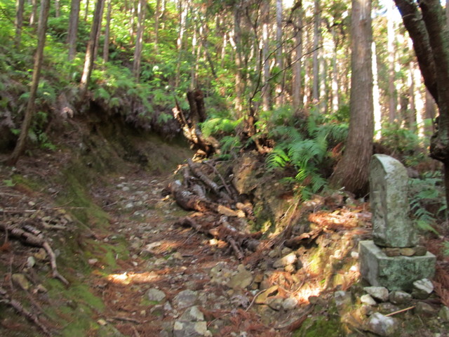 t24_116.jpg