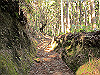 t24_117_thumb.jpg