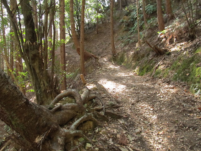 t24_122.jpg
