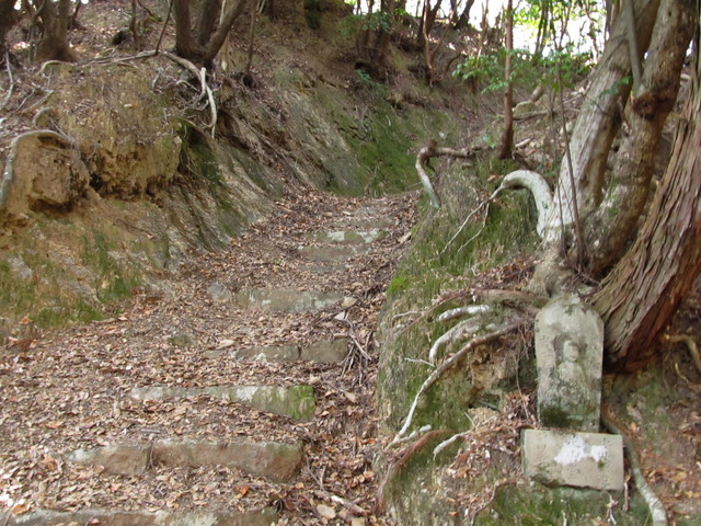 t24_123.jpg