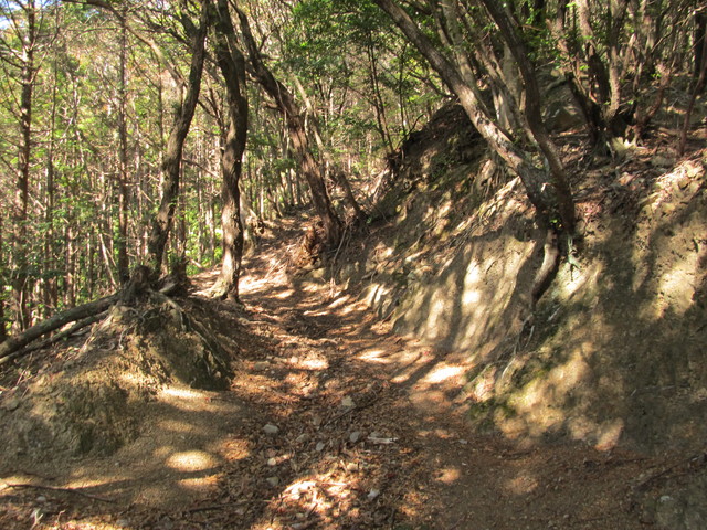 t24_126.jpg