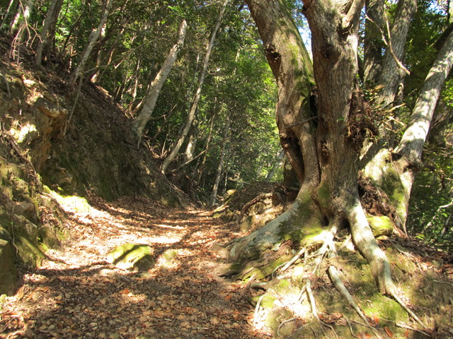 t24_137.jpg